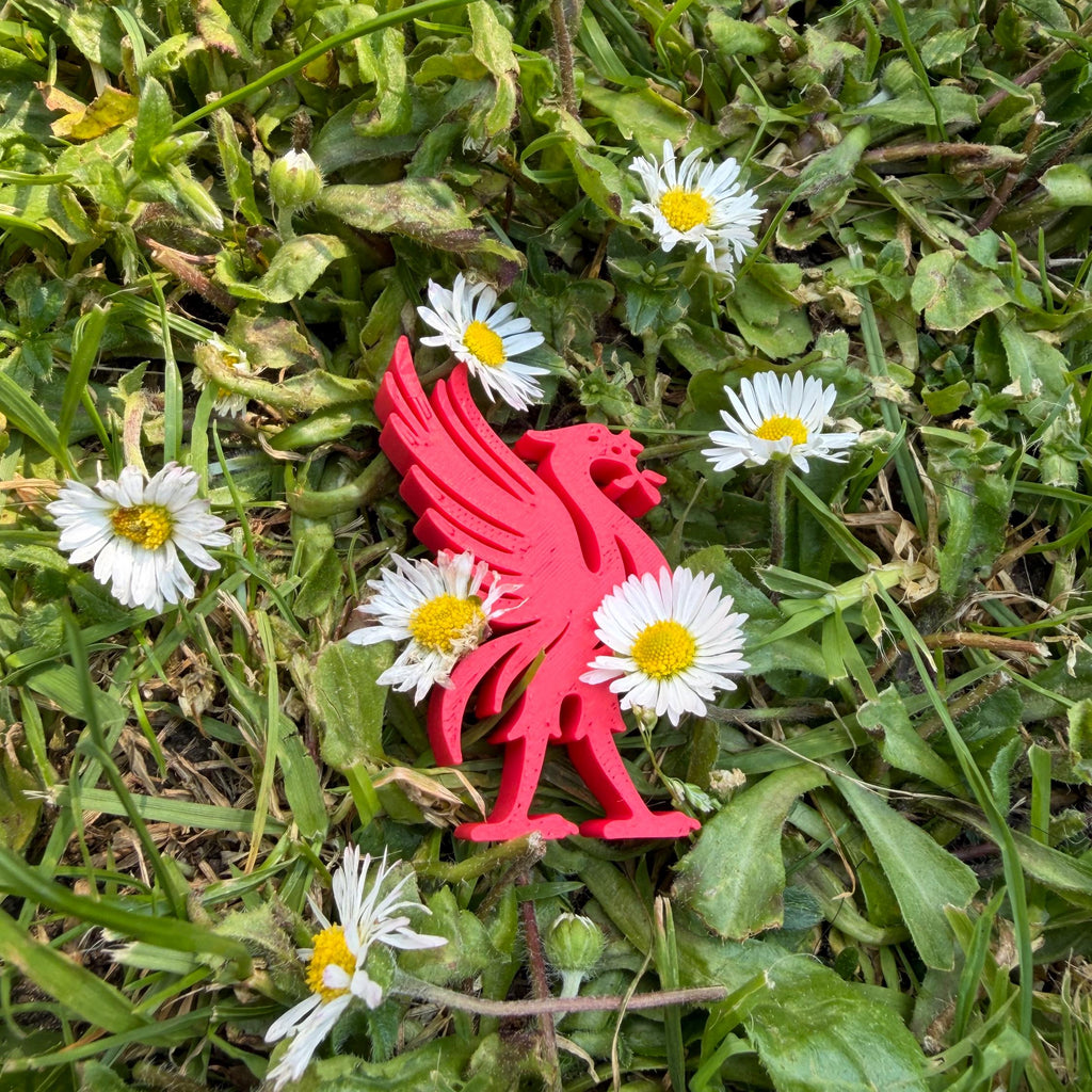 A bright red mini Liverbird figurine lying on green grass among small white daisies with yellow centers.
